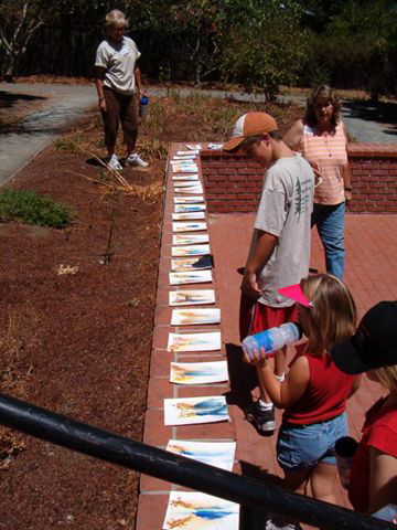 Watercolor paintings made by Campers