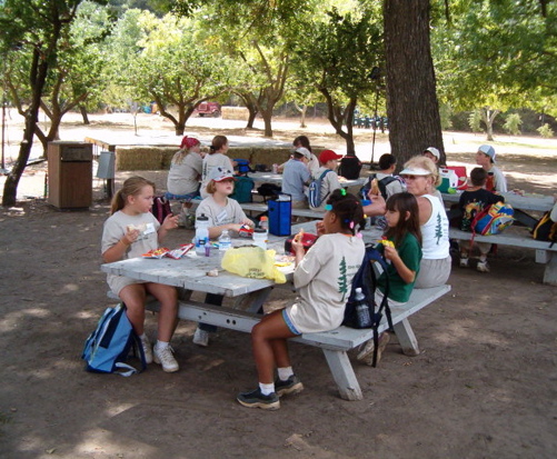Eating lunch under 80 year old pecan trees