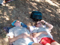 Campers ponder tree branches