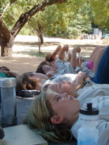 Campers ponder the tree branches